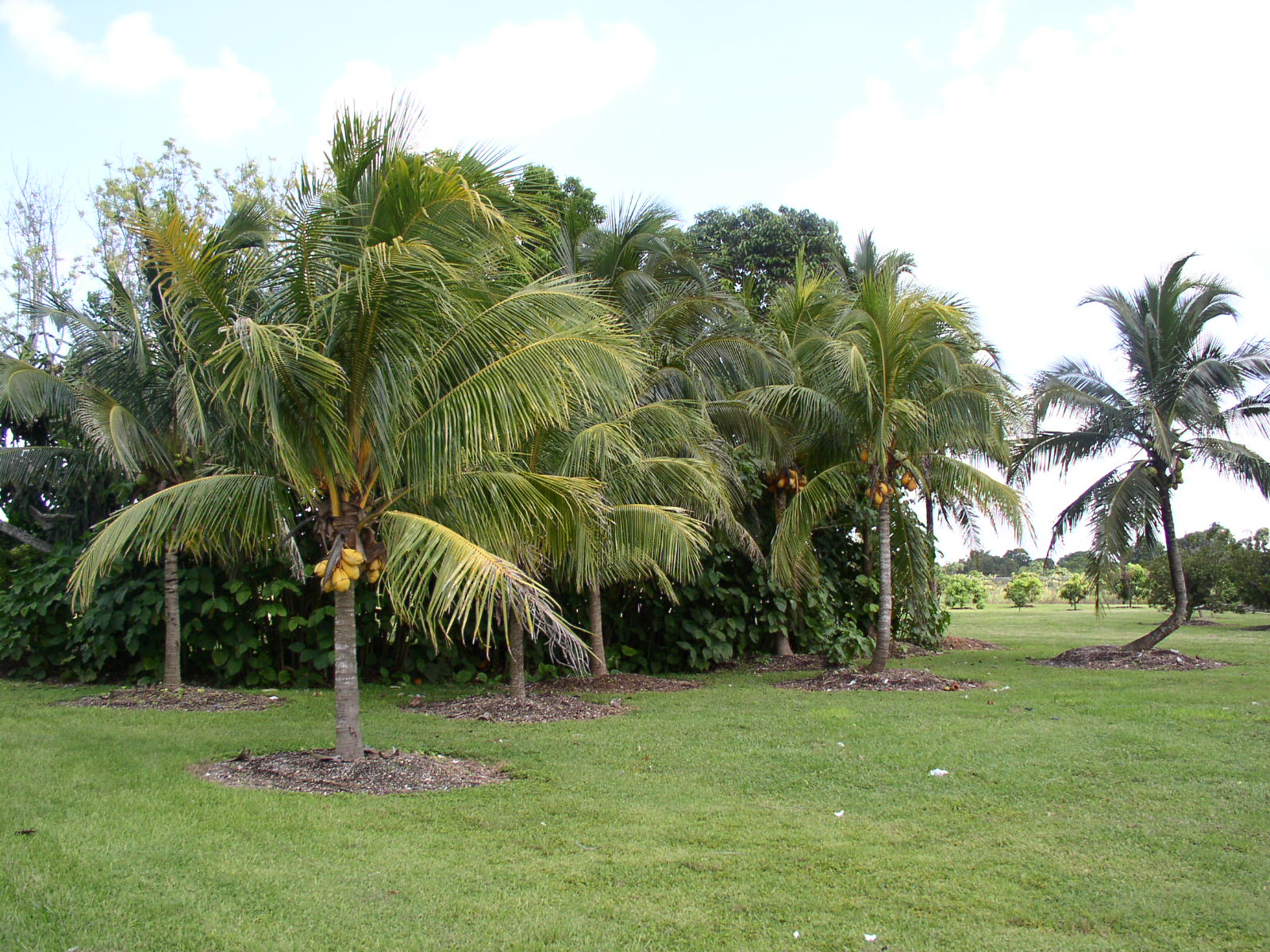 photo1